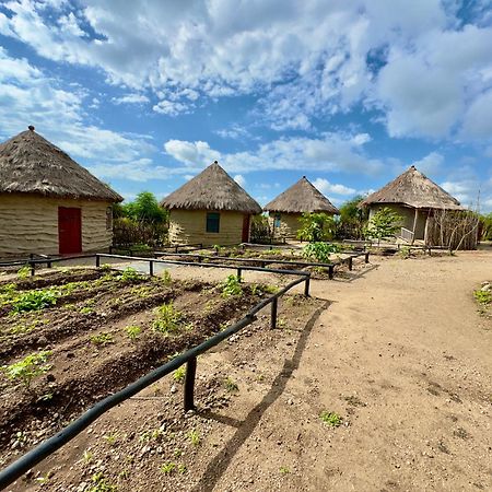 Maasai Eco Boma & Lodge - Experience Maasai Culture Makuyuni エクステリア 写真
