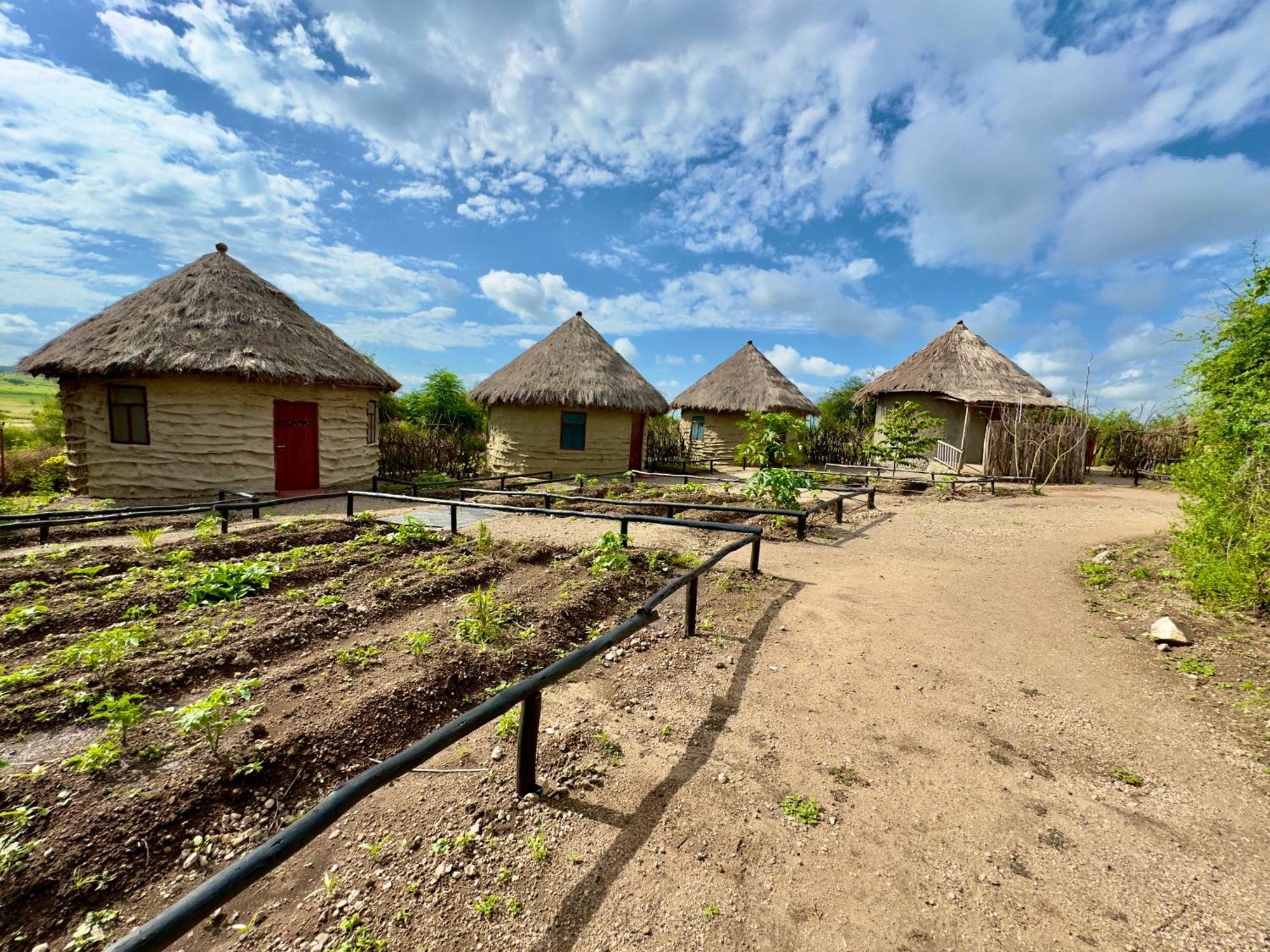 Maasai Eco Boma & Lodge - Experience Maasai Culture Makuyuni エクステリア 写真